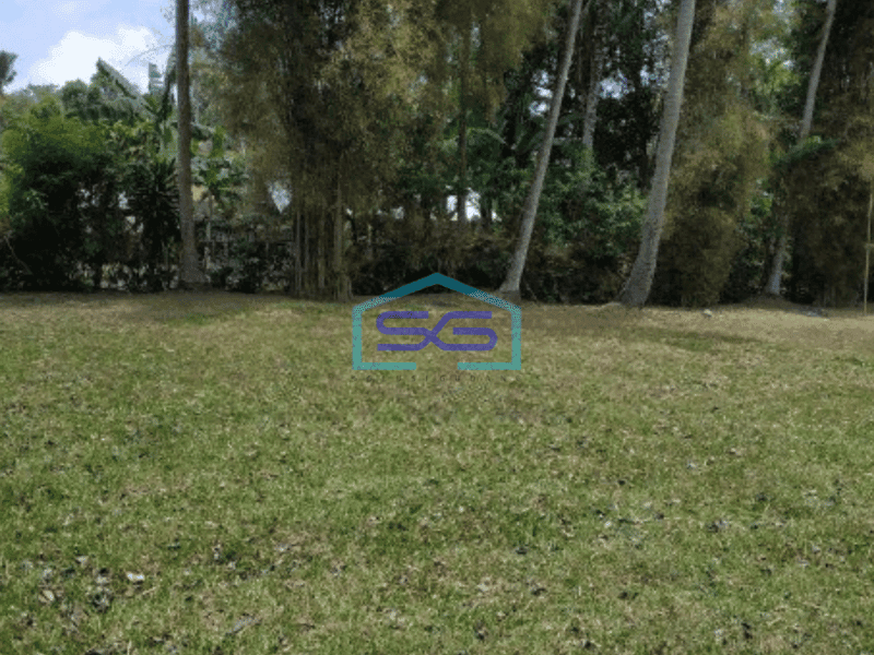 Dijual Tanah di Ubud Gianyar Bali