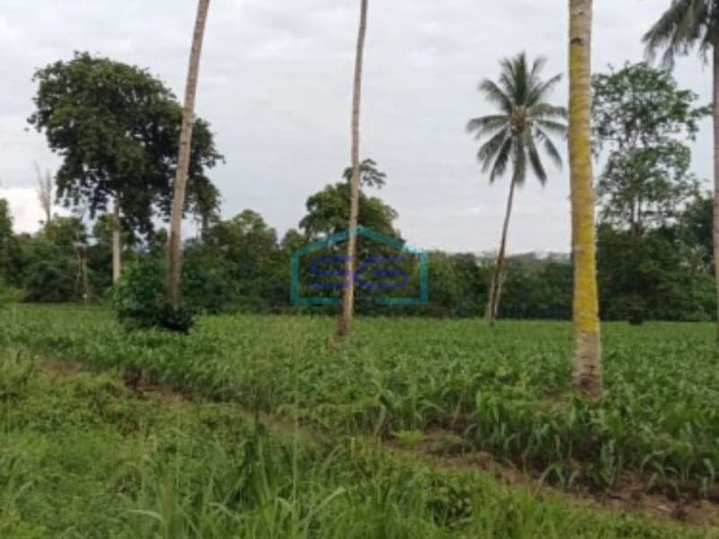 Dijual Tanah Di Tanjung Merah Bitung Kawasan Industri Dan Gudang Bitung Selatan, Bitung Luas Tanah 10000 m²