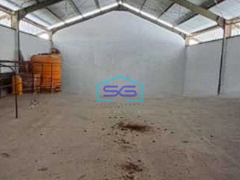 Disewakan Gudang Kantor Akses Tronton Di Tabanan Bali Luas Bangunan 2800m2