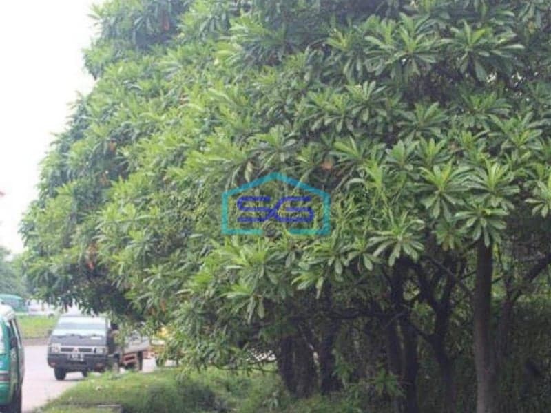 Dijual Tanah di Jalan Raya Cileunyi Bandung Luas Tanah 3779 M²