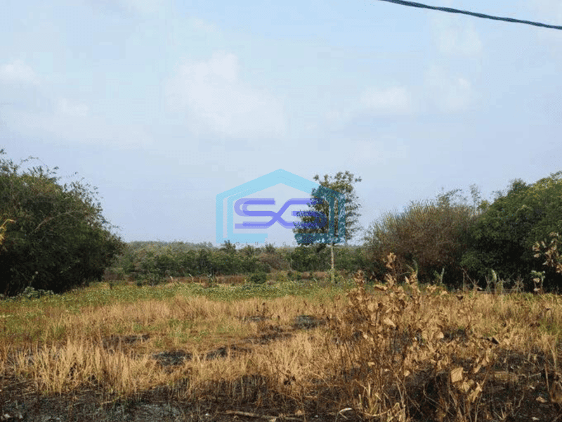 Dijual Tanah Untuk Gudang Harga MurahdDi Padasuka Maja Lebak Banten