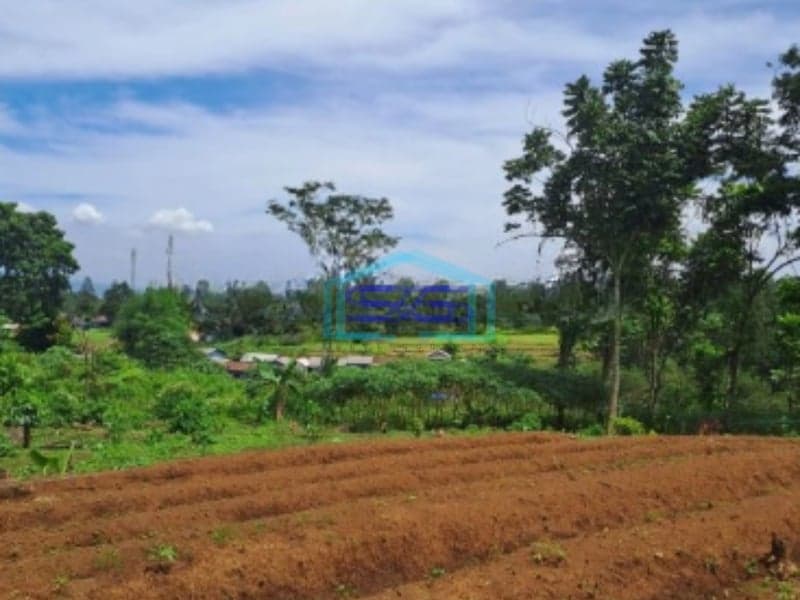 Dijual Tanah di Desa Pasir Angin Megamendung Bogor Luas Tanah 9000m2