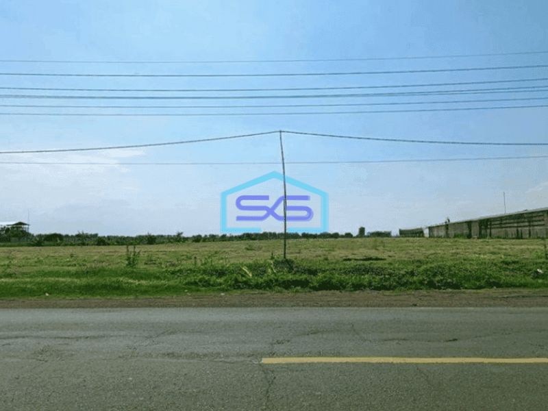 Dijual Tanah Murah Raya Kedamean Dekat Tol Dan Surabaya Cocok Untuk Pabrik LT 42000m2