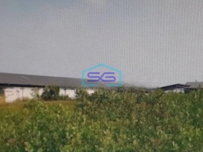 Dijual Tanah Di Tambak Sarioso Asemrowo Surabaya LT 4647m2