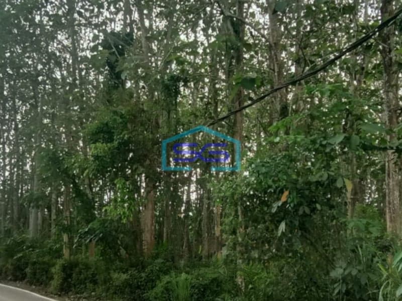 Dijual Tanah Plus Pohon Jati Talang Buluh Kelapa Banyuasin Sumatera Selatan LT 18750m2