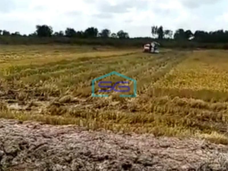 Dijual Tanah Luas 28 Ha di Jalan Musi Palembang