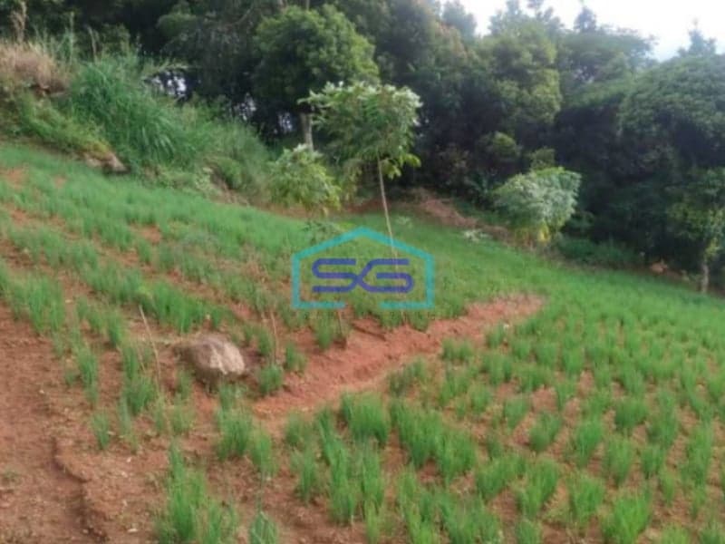 Dijual Cepat Tanah di Bojong Koneng Bandung Barat LT 1000m2