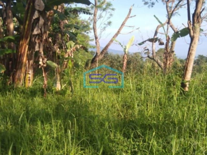 Dijual Tanah Strategis di Desa Pancawati Caringin Bogor LT 40000m2 Cocok Untuk Usaha