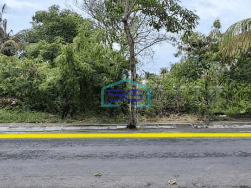 Disewakan Tanah Pantai Pererenan Canggu Bali Badung Luas Tanah 2743m2