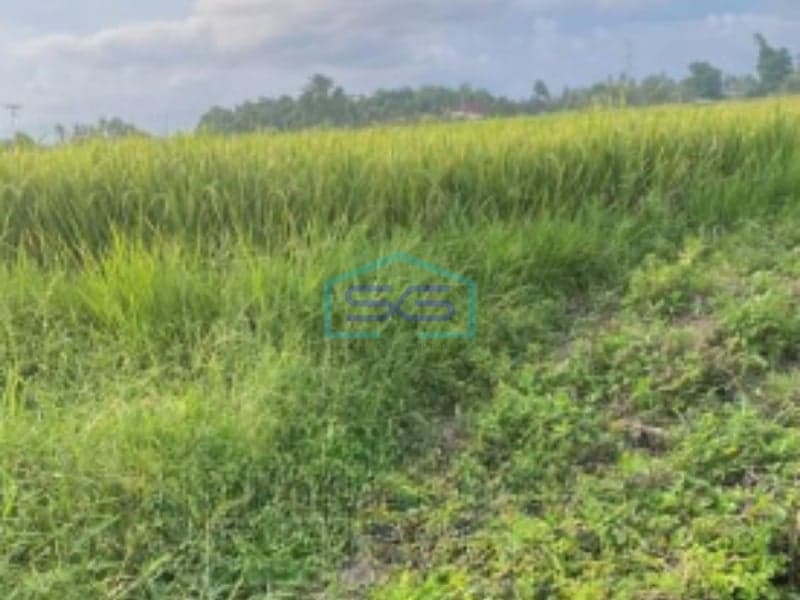 Dijual Tanah di Ubud Gianyar Bali Cocok Untuk Bisnis