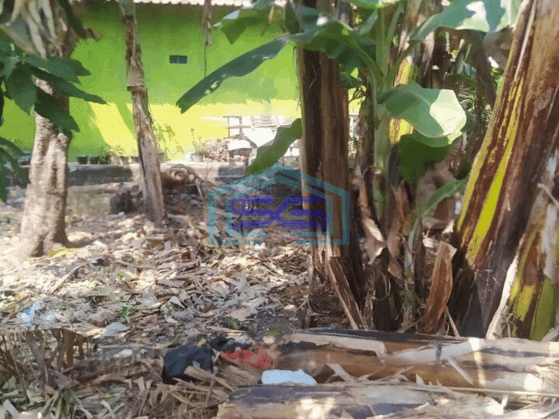 Dijual Cepat Tanah Kosong cocok untuk Gudang di Lubang Buaya Setu Kabupaten Bekasi