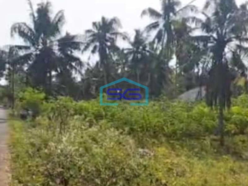 Dijual Tanah Pekarangan Lokasi Pengasih Yogyakarta Luas 10320m2