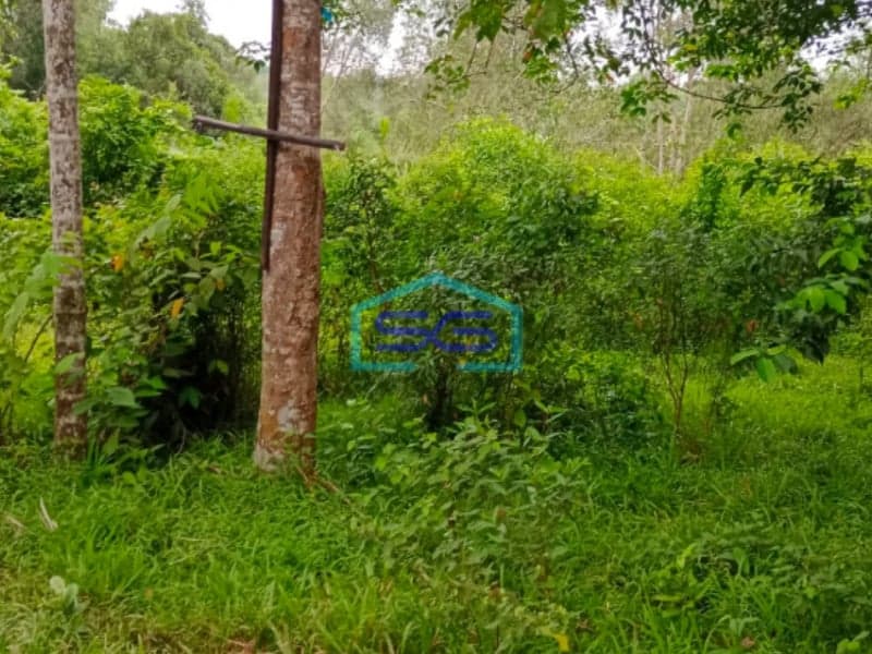 Dijual Tanah di Jalan Talang Kepuh Gandus Palembang Lokasi Mudah Dijangkau