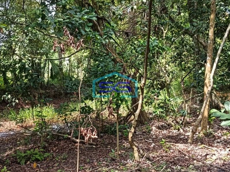 Dijual Tanah di Jalan Sukasari Soekarno Hatta Palembang LT 4000m2