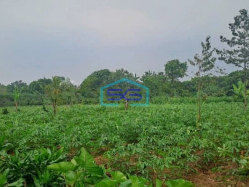 Di Tanah di Daerah Cibeuteung Udik Ciseeng Bogor Luas Tanah 15000m2