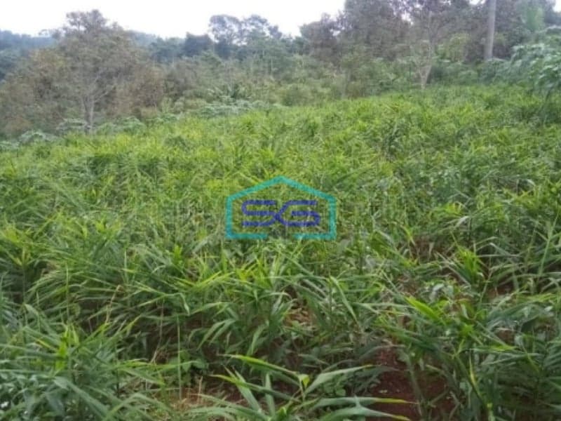 Dijual Tanah Di kebunduren Kutawarngin Cianjur Luas Tanah 85000m2