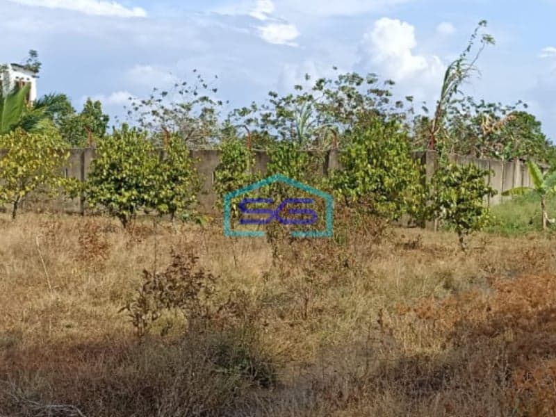 Dijual Tanah Keras Siap Bangun Kawasan Ramai Talang Jambe Palembang Bebas Banjir