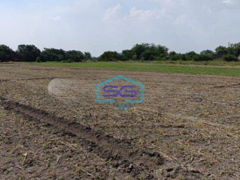 Dijual Tanah di Mojokerto Cocok Untuk Gudang dan Pabrik LT 4809m2