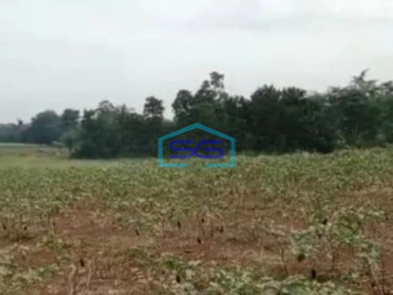 Dijual Tanah Di Jalan Raya Ciseeng Bogor Luas Tanah 50000m2