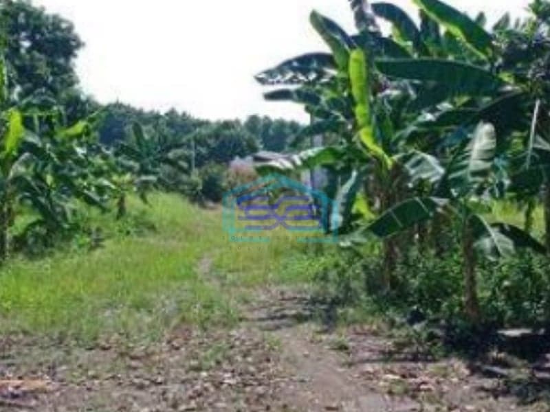 Dijual Gudang Pabrik Tangerang Pabrik Gudang Pasarkemis Luas Bangunan 3000m2