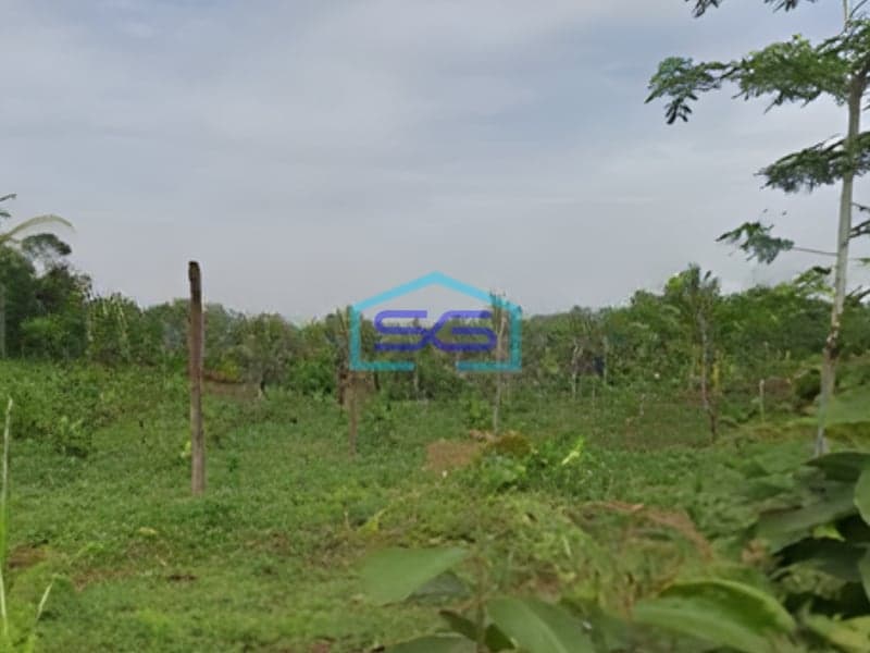 Dijual Lahan Tanah Zona Industri Lokasi Batang Jawa Tengah Luas 100 Hektar