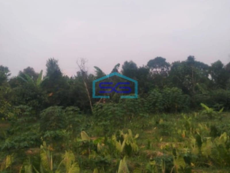 Dijual Tanah Cibalung Cijeruk Bogor LT 6000m2 Kontur Datar