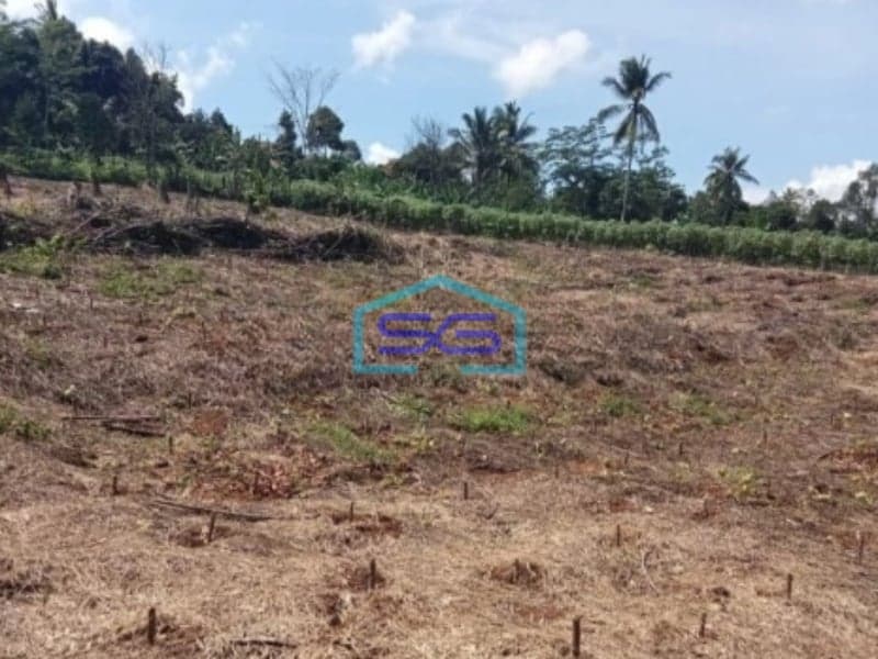 Dijual Tanah Bagus Datar Cikembar Sukabumi Luas Tanah 24000m2