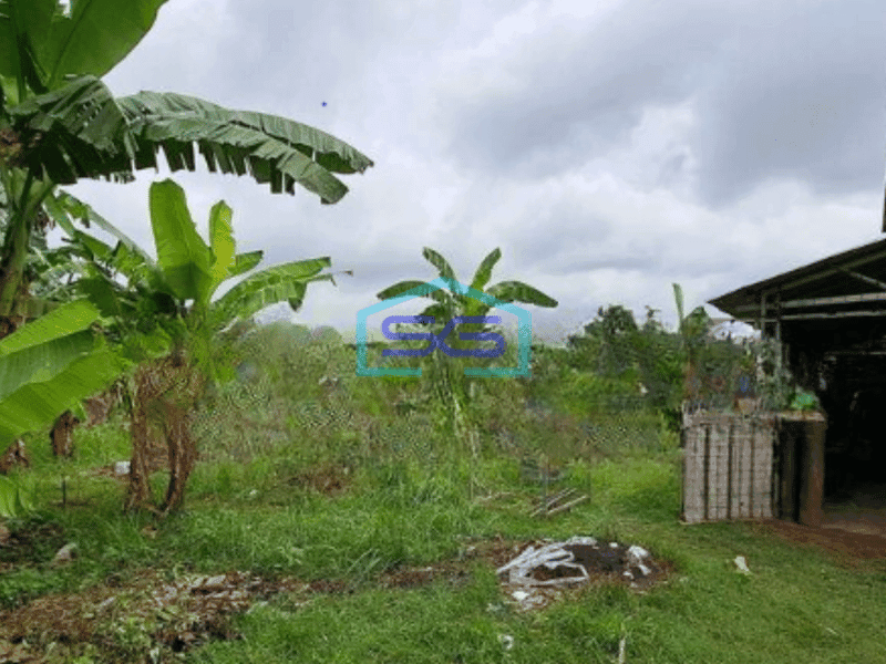 Dijual Tanah dan Bangunan Luas Tanah 2972 m² di Sepatan Timur Tangerang