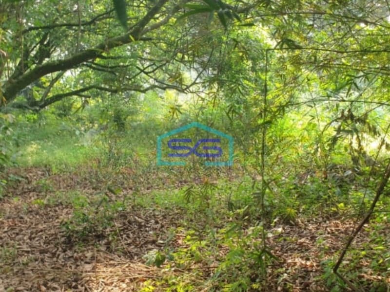 Dijual Tanah Luas  80000 m²  Lokasi Parung Bogor