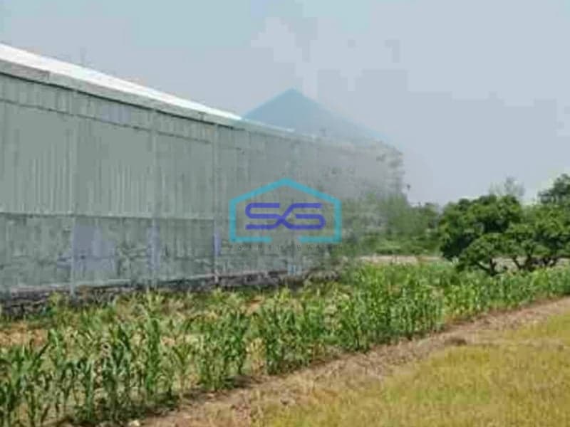 Dijual Tanah Cocok Untuk Gudang di Gresik LT 3652m2