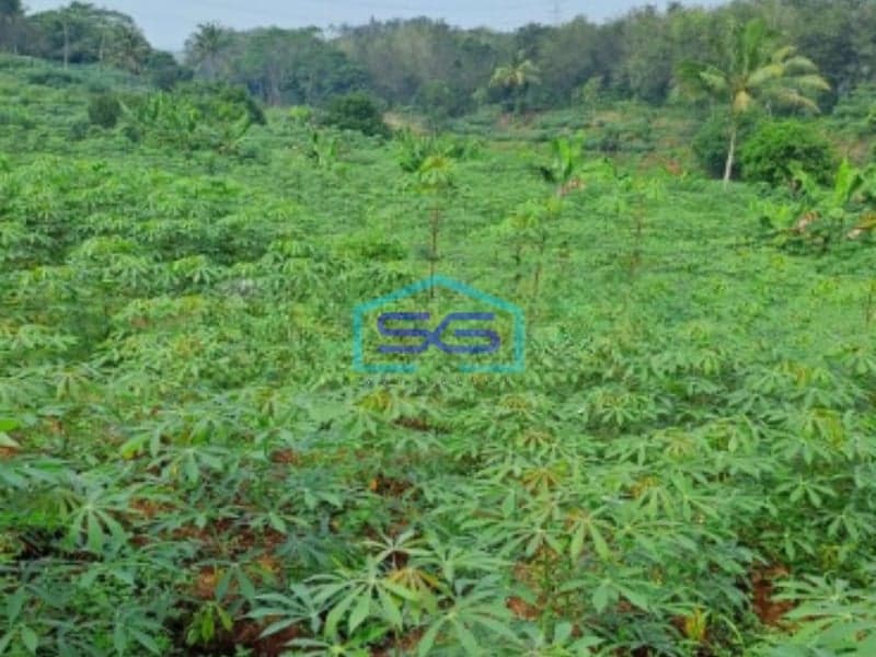 Dijual Tanah di Cibodas Rumpin Bogor Luas Tanah 6000m2