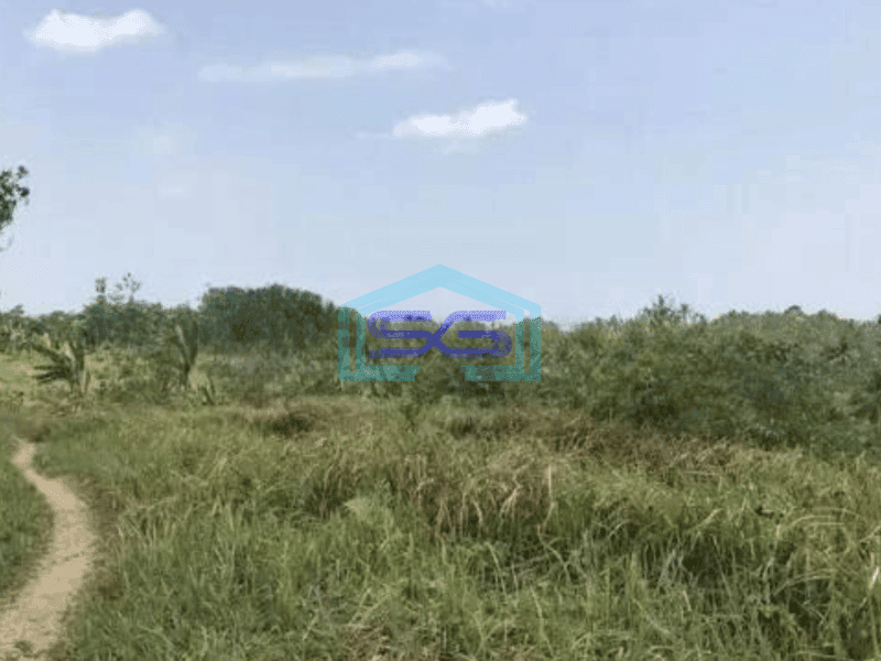 Dijual Tanah Harga Murah di Sobang Pandeglang Banten