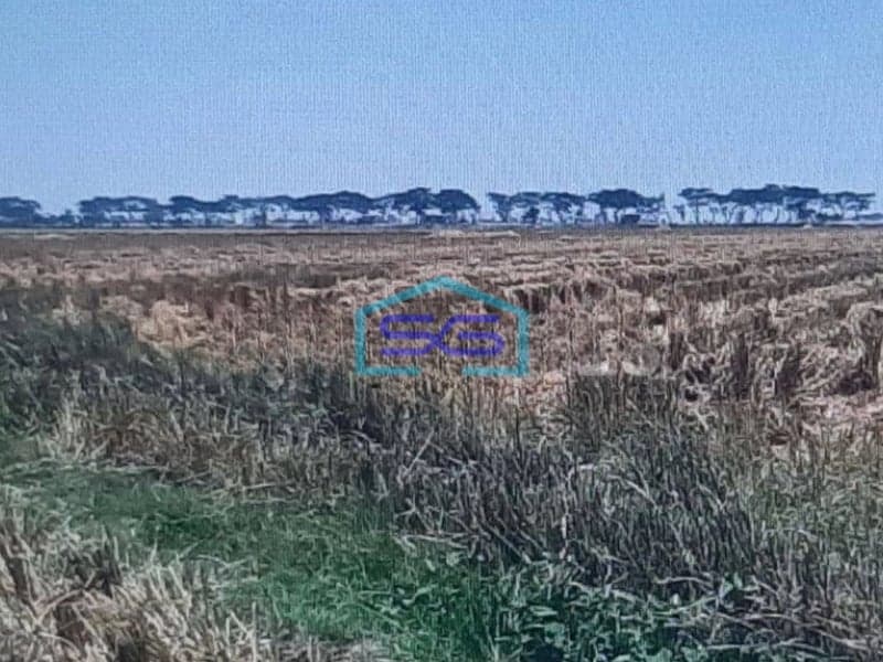 Dijual Tanah Di Pinggir Jalan Pantura Subang LT 14060m2