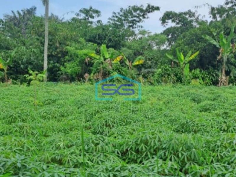 Dijual Tanah Di Kemang Bogor Luas Tanah 15000m2 Lokasi Bagus