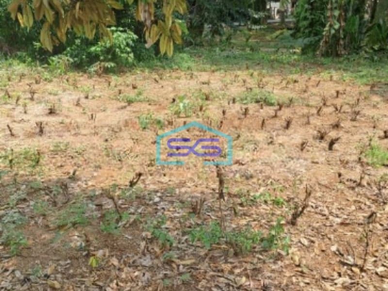 Dijual Tanah Di Kemang Bogor Luas Tanah 3500m2 SHM