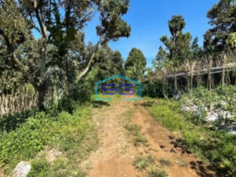 Dijual Tanah Strategis Di Ciumbuleuit Bandung Cocok Untuk Usaha LT 7000m2