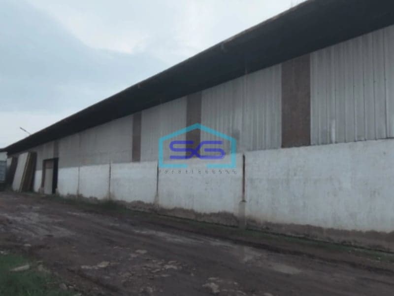Disewakan Gudang Di Daerah Kanci Mundu Cirebon