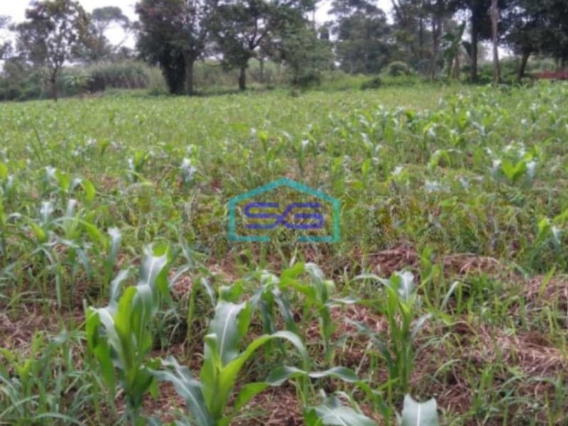 Dijual Tanah Siap Bangun Di Rancamaya Bitung Sari Bogor LT 17000m2