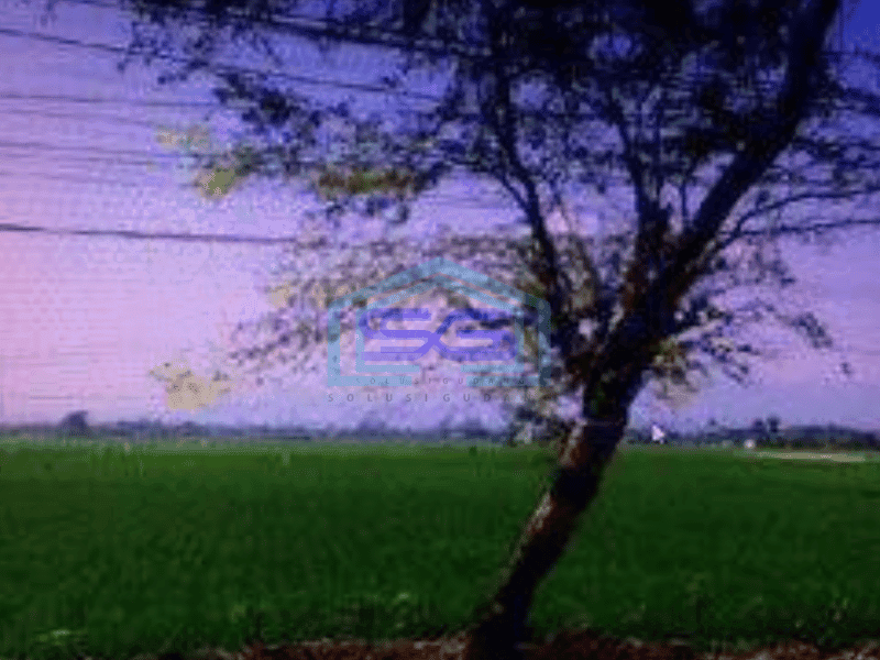 Dijual Tanah Bisa Untuk Gudang di Majalaya Bandung