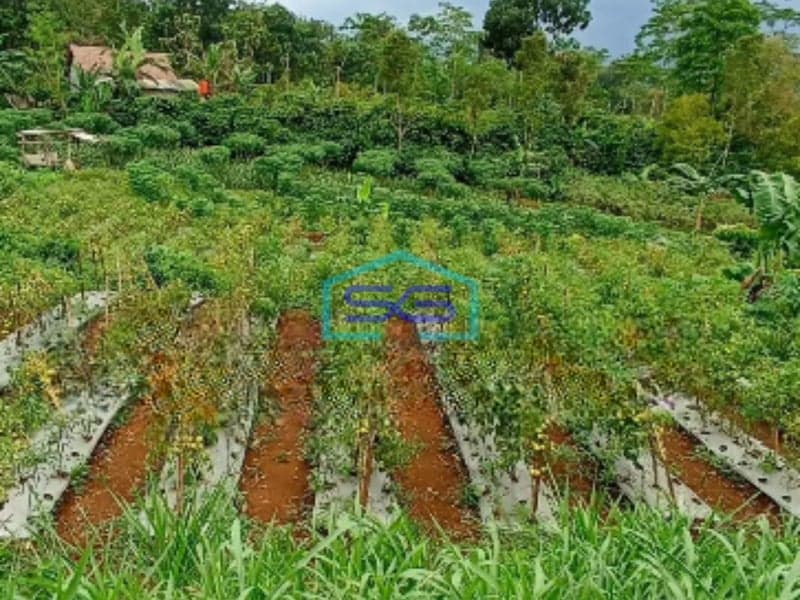 Dijual Tanah Di Sukorejo Kendal Cocok Utk Perumahan Luas Tanah 36000 m²