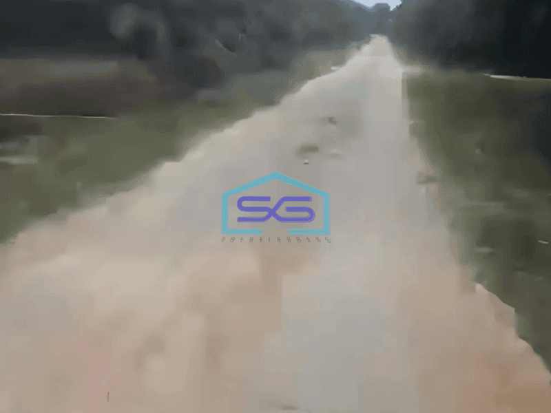 Dijual Tanah Kebun Sawit 200ha Di Siak Riau