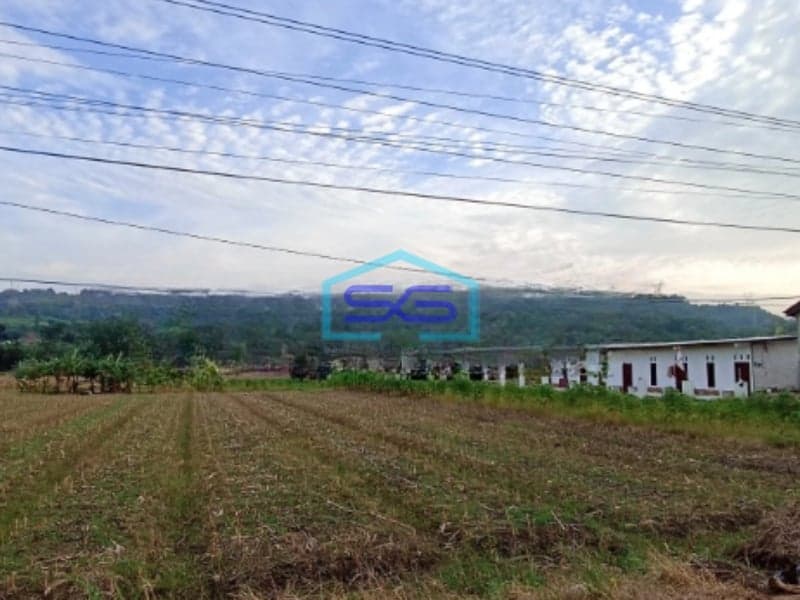 Dijual Tanah Di Batang Grinsing Deket Kawasan Industri