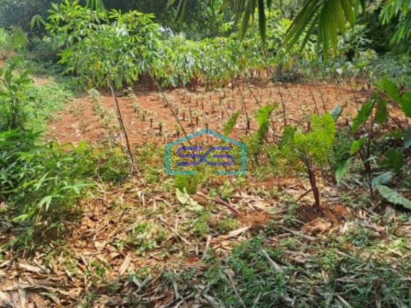 Dijual Tanah Di Daerah Kemang Bogor Lokasi Bebas Banjir LT 1000m2