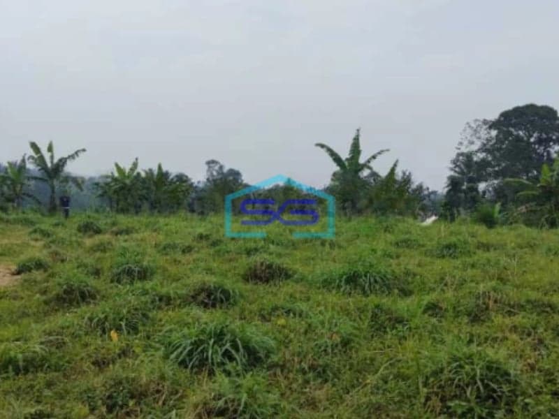 Dijual Tanah di Jalan Raya Cigombong Bogor Luas Tanah 45000m2