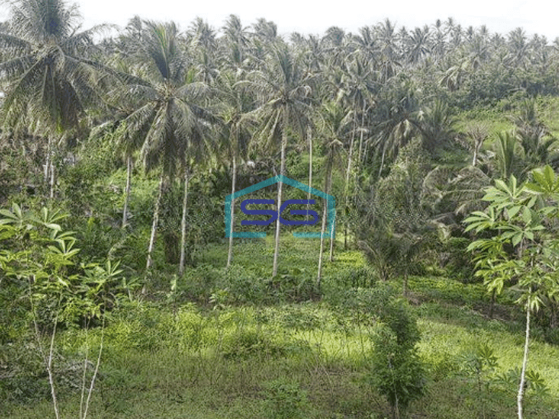 Dijual Tanah 2,5 H Di Dekat Pusat Kota Manado