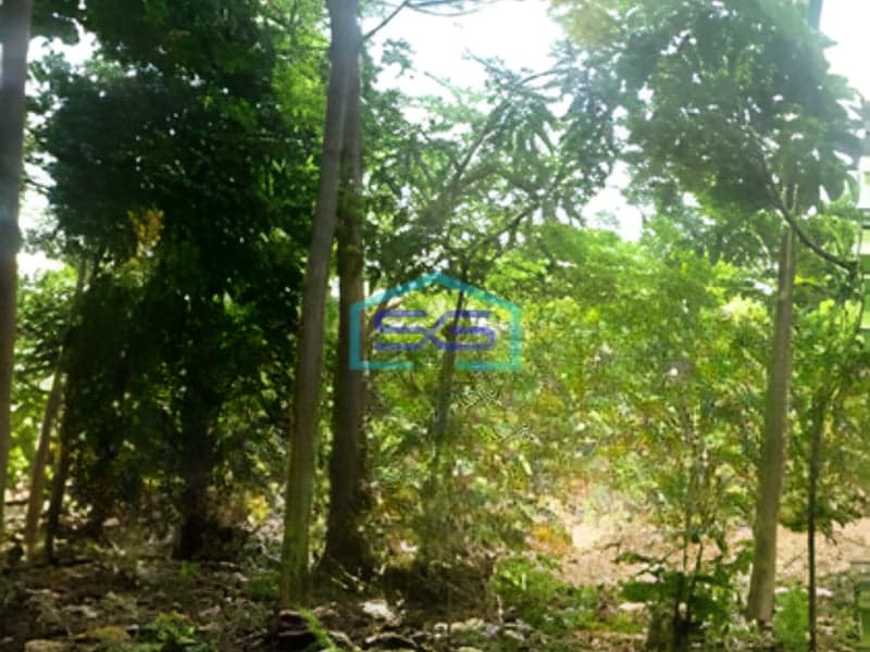 Dijual Tanah Luas 23000 m² Lokasi di Beji Depok