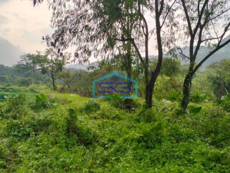 Dijual Tanah di Kembang Kuning Klapanunggal Bogor Zona Industri Luas 3 Hektar