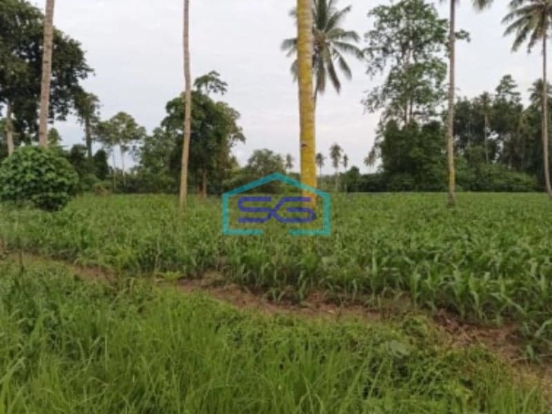 Dijual Tanah 10~50 H Di Kota Bitung Kawasan Ekonomi Khusus Matuari, Bitung Sulawesi Utara Luas Tanah 100000 m²