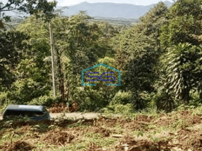 Dijual Tanah di Jalan Lintas Leuwiliang Bogor Luas Tanah 2150m2