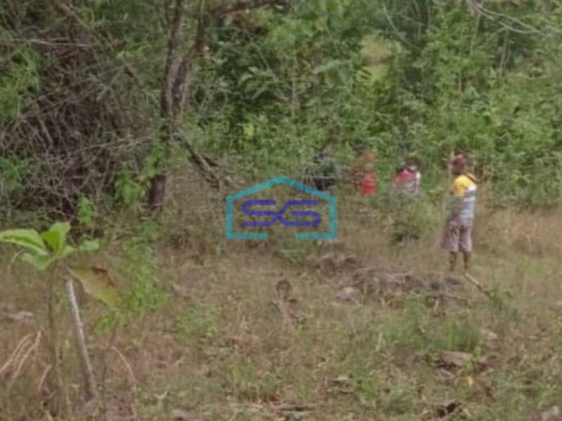 Dijual tanah Strategis Industri Lokasi Wuryantoro Wonogiri Luas 125 Ha